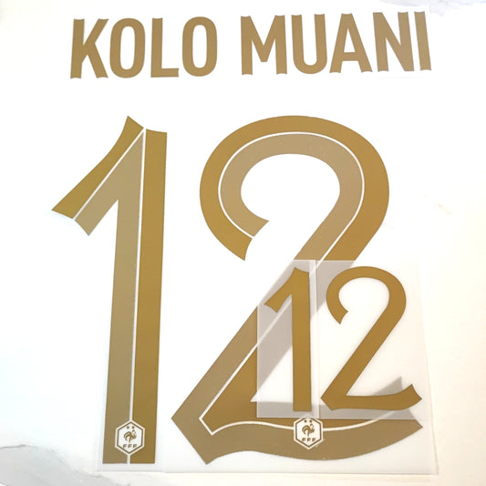 FLOCAGES OFFICIELS EQUIPE DE FRANCE ⚜️ RANDAL KOLO MUANI 12#